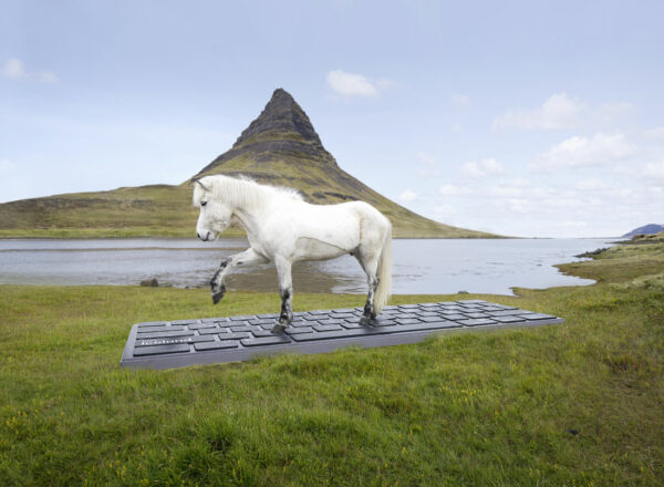 Island innovative Idee: nicht mehr arbeiten wie ein Pferd
