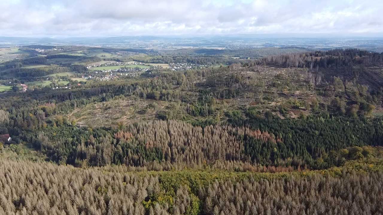 Luftaufnahme Waldstueck Artenglueck
